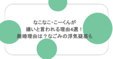 なこなこ・こーくんが嫌いと言われる理由4選！離婚理由は？なごみの浮気疑惑も