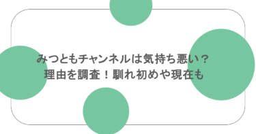 みつともチャンネルは気持ち悪い？理由を調査！馴れ初めや現在も