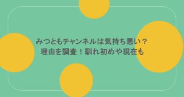 みつともチャンネルは気持ち悪い？理由を調査！馴れ初めや現在も